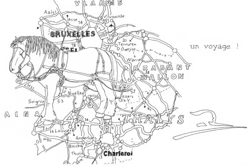 Corps & Anticorps – projet territoire à Charleroi